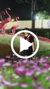 BIB:  <button type="button" onclick="openModal(27591003)" class="btn btn-primary btn-sm float-right" data-toggle="modal" data-target=".modal-high-quality">
                <i class="fa fa-download"></i> Download
                </button>